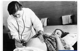 The Scientists Collected Data. The Mothers Collected Graves.