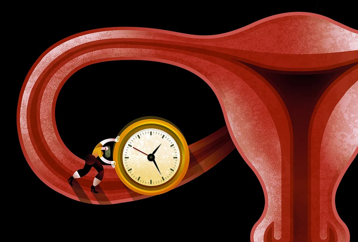 Why Can Trans Women Take Estrogen But Menopausal Women Are Told It's Dangerous? The Answer Is Complicated — and Overdue.